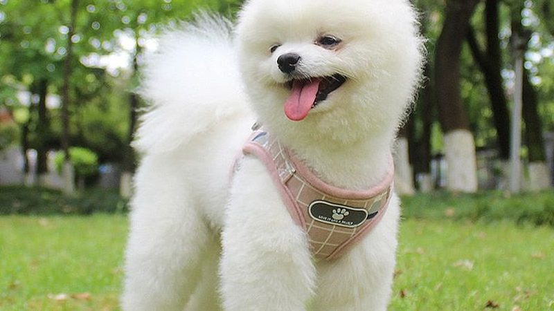 闭式冷水机散热效果：如何从技术角度全面评估**